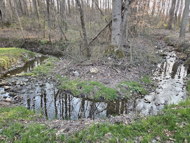 view of landscape with a wooded view