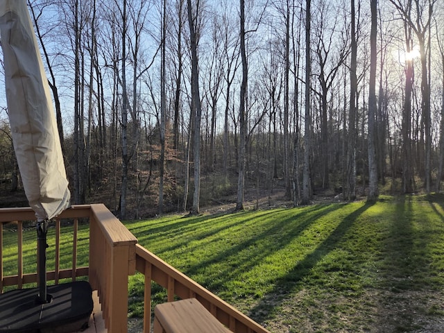 view of yard featuring a forest view