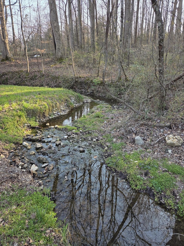 property view of water with a forest view