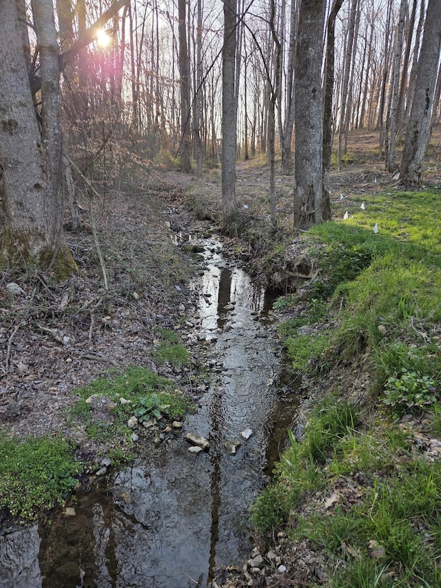 view of local wilderness