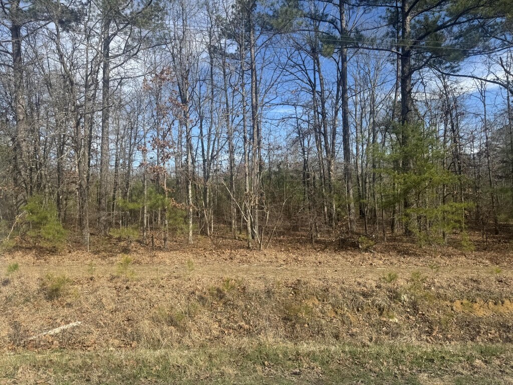 833 Drake Ln, Summertown, TN 38483