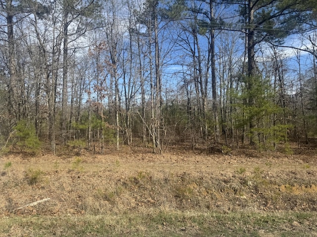833 Drake Ln, Summertown, TN 38483