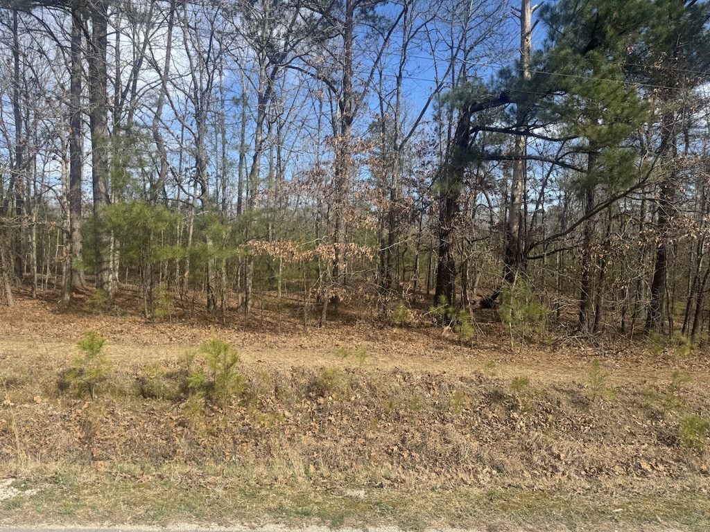 833 Drake Ln, Summertown, TN 38483