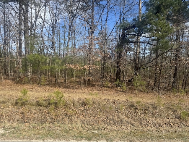 833 Drake Ln, Summertown, TN 38483