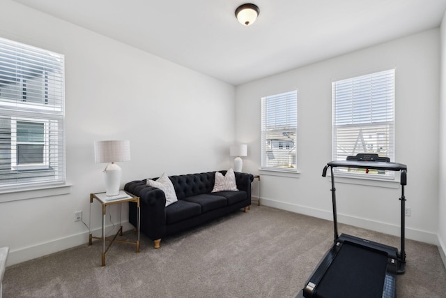 exercise area with baseboards and carpet floors