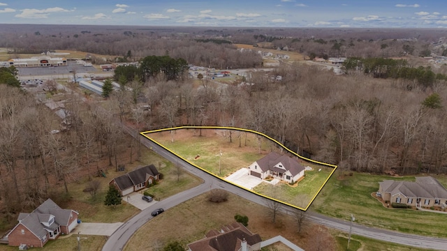 drone / aerial view