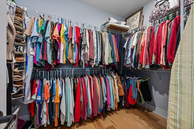 spacious closet featuring wood finished floors