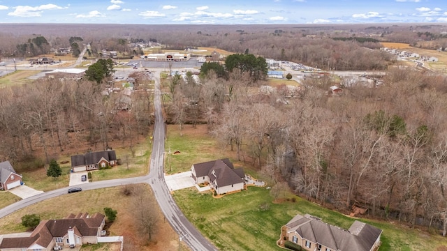 bird's eye view