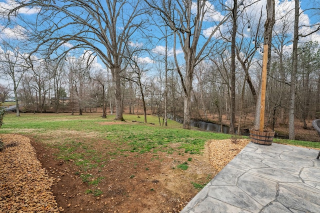 view of yard with a patio area