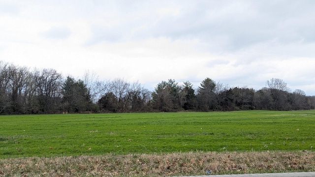 view of yard featuring a wooded view