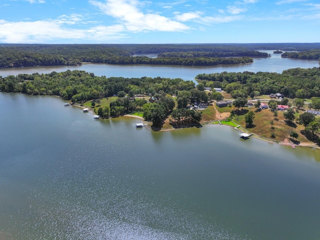aerial view featuring a forest view and a water view