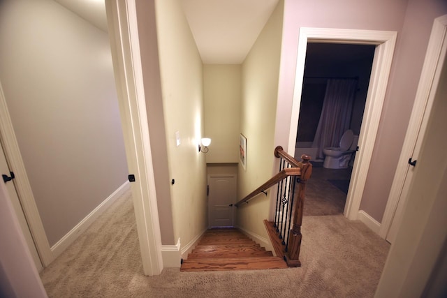 staircase featuring baseboards and carpet