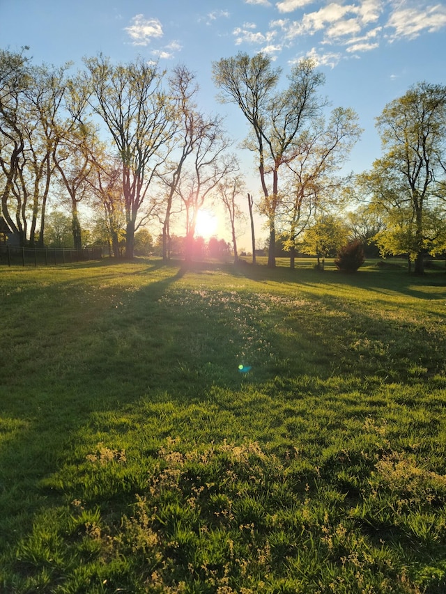 view of yard at dusk