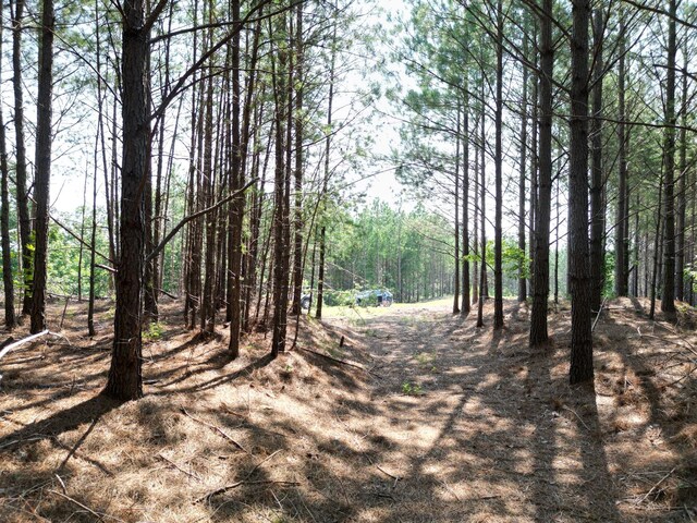 449 Fox Ridge Dr, Linden, TN 37096