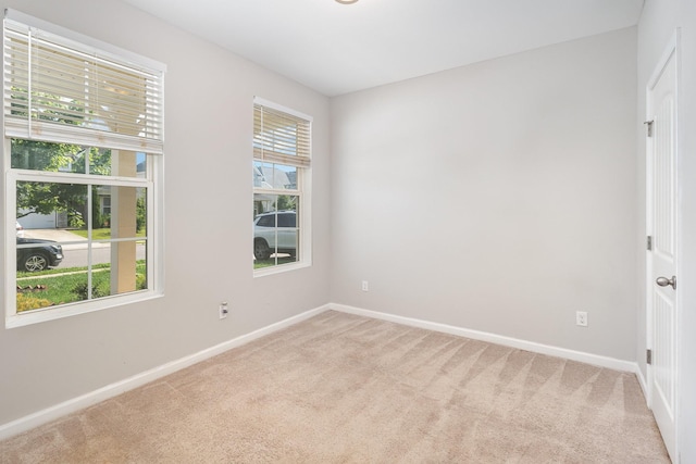 3216 Calendula Way, Murfreesboro, TN 37128 - photo 11