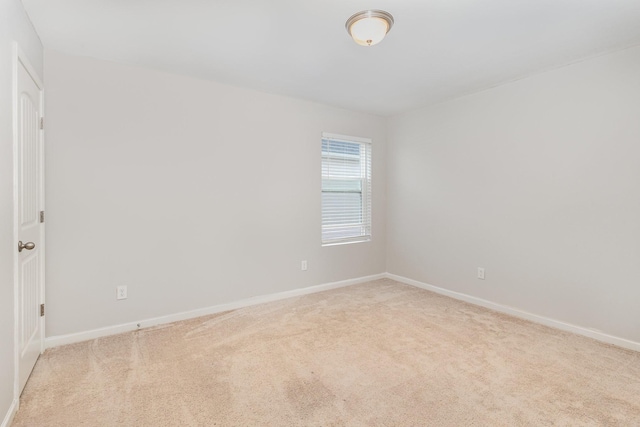 3216 Calendula Way, Murfreesboro, TN 37128 - photo 21