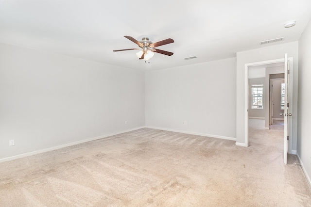 3216 Calendula Way, Murfreesboro, TN 37128 - photo 15