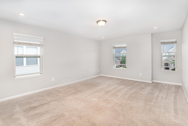 3216 Calendula Way, Murfreesboro, TN 37128 - photo 17