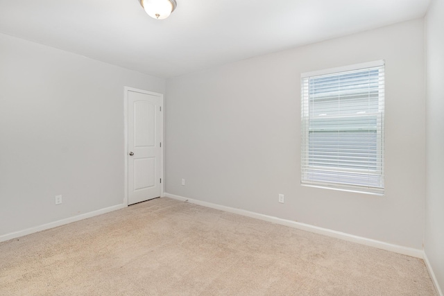 3216 Calendula Way, Murfreesboro, TN 37128 - photo 22