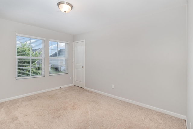 3216 Calendula Way, Murfreesboro, TN 37128 - photo 19