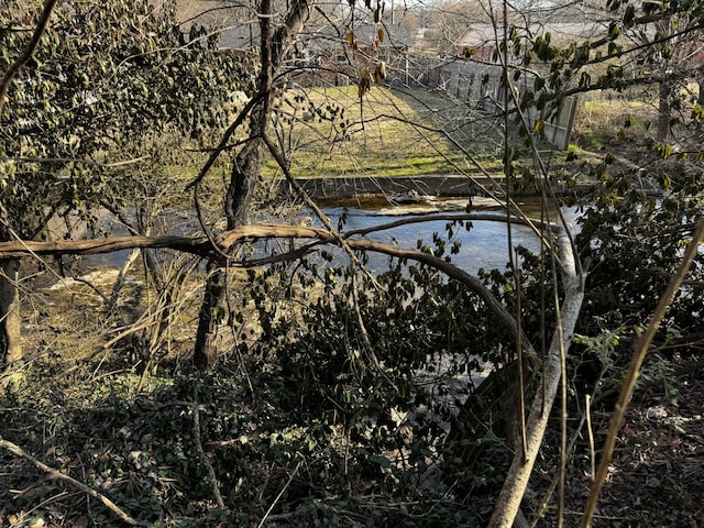 1239 N Graycroft Ave, Madison, TN 37115 - view of water feature