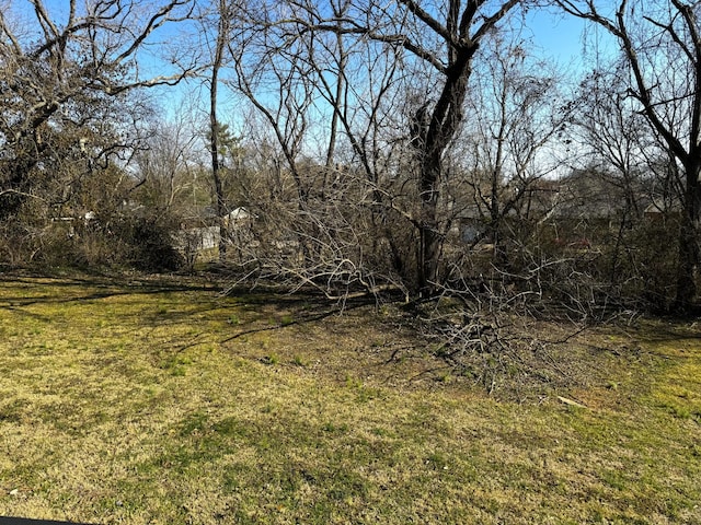1239 N Graycroft Ave, Madison, TN 37115 - view of local wilderness