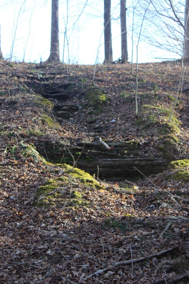 1784 Shrum Cemetery Rd, Westmoreland, TN 37186 - photo 4