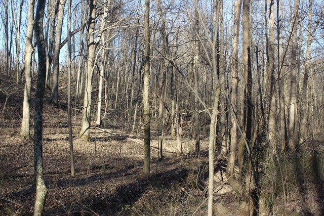 1784 Shrum Cemetery Rd, Westmoreland, TN 37186 - photo 3
