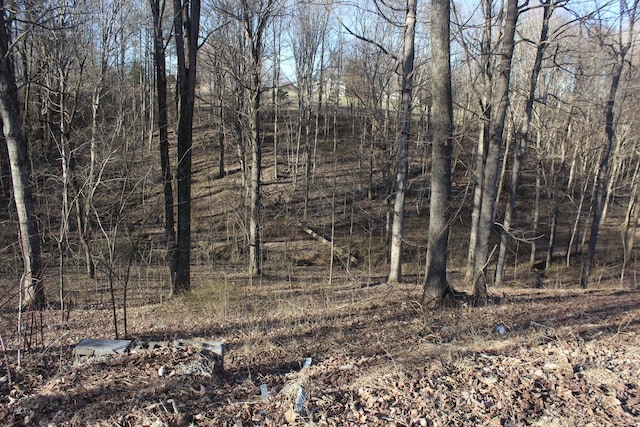 1784 Shrum Cemetery Rd, Westmoreland, TN 37186 - photo 2