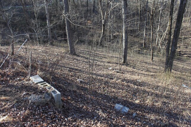 1784 Shrum Cemetery Rd, Westmoreland, TN 37186 - photo 5