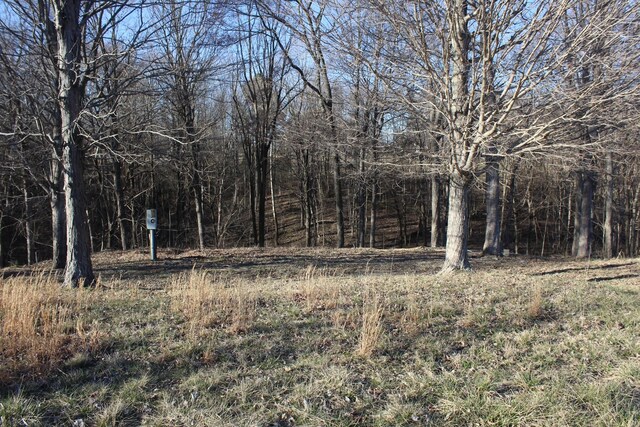1784 Shrum Cemetery Rd, Westmoreland, TN 37186 - photo 1