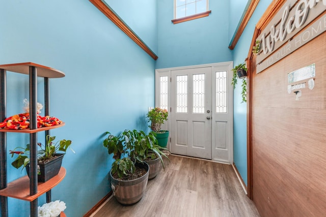 foyer entrance featuring baseboards, wood finished floors, and a towering ceiling