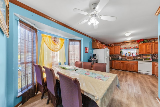 dining space featuring crown molding, a healthy amount of sunlight, and light wood finished floors