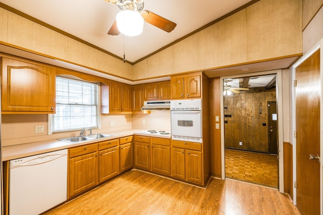 kitchen with under cabinet range hood, a sink, white appliances, light countertops, and ceiling fan