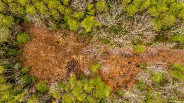 0 Timberwood Trce, Monteagle, TN 37356