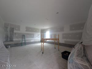 238 Thacker Rd, Grimsley, TN 38565 - view of below grade area