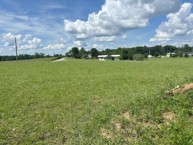 238 Thacker Rd, Grimsley, TN 38565 - view of green lawn