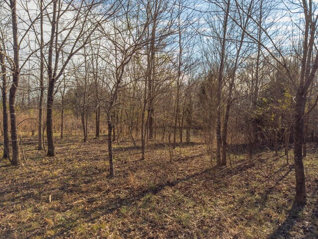3257 Ashland City Hwy, Charlotte, TN 37036 - photo 18