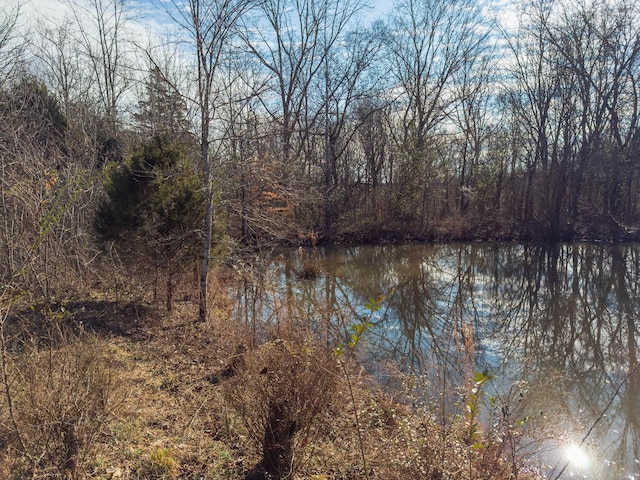 3257 Ashland City Hwy, Charlotte, TN 37036 - photo 8