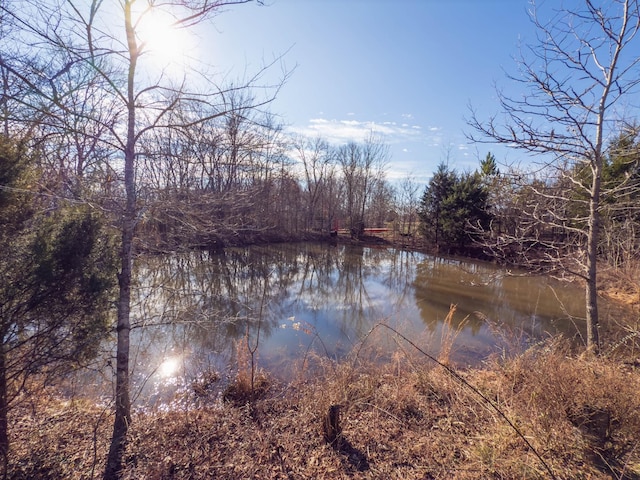 3257 Ashland City Hwy, Charlotte, TN 37036 - photo 5