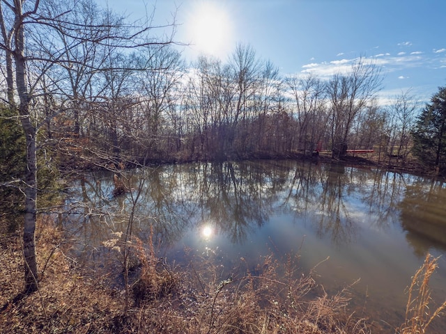 3257 Ashland City Hwy, Charlotte, TN 37036 - photo 4