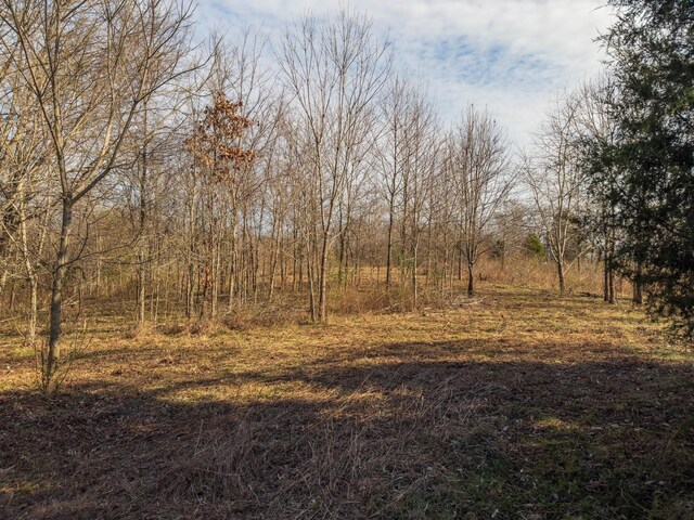 3257 Ashland City Hwy, Charlotte, TN 37036 - photo 22