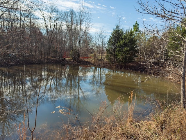 3257 Ashland City Hwy, Charlotte, TN 37036 - photo 7