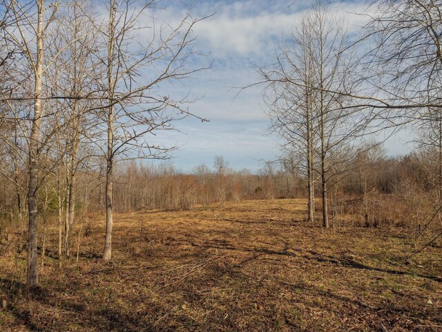 3257 Ashland City Hwy, Charlotte, TN 37036 - photo 16