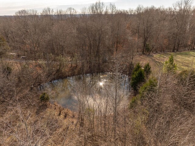 3257 Ashland City Hwy, Charlotte, TN 37036 - photo 23