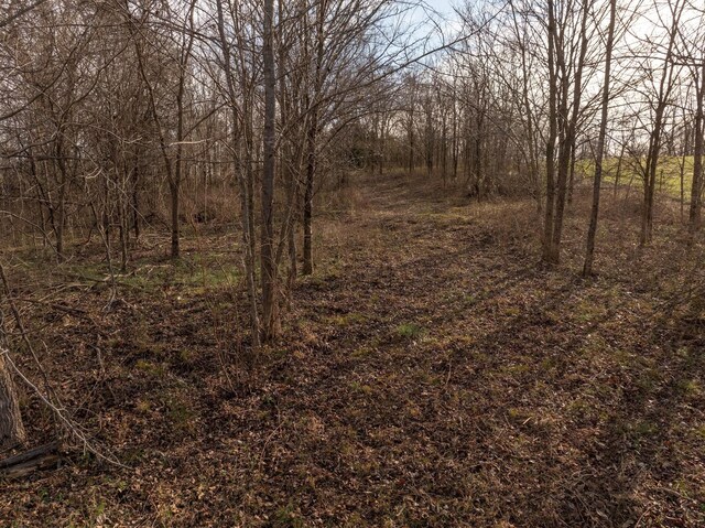 3257 Ashland City Hwy, Charlotte, TN 37036 - photo 31