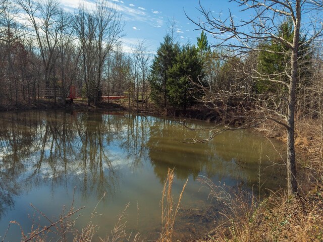 3257 Ashland City Hwy, Charlotte, TN 37036 - photo 2