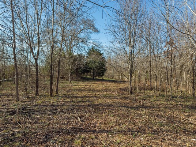 3257 Ashland City Hwy, Charlotte, TN 37036 - photo 33