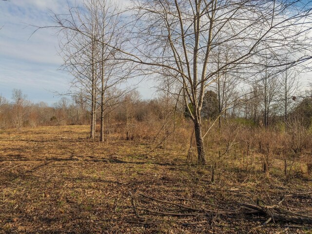 3257 Ashland City Hwy, Charlotte, TN 37036 - photo 17