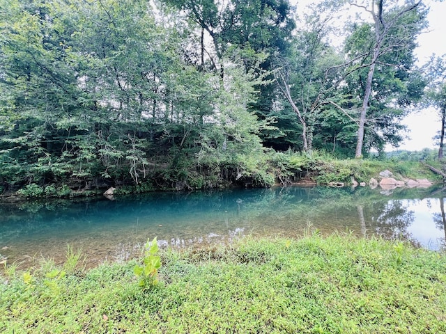 Listing photo 2 for 0 W Blue Creek Rd, Waverly TN 37185
